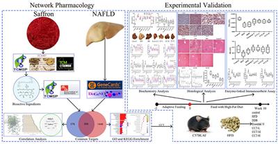 Exploring the Protective Effects and Mechanism of Crocetin From Saffron Against NAFLD by Network Pharmacology and Experimental Validation